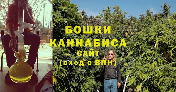 мдпв Волосово