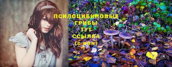 мдпв Волосово