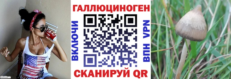 Купить  Пыть-Ях  Галлюциногенные грибы мицелий 